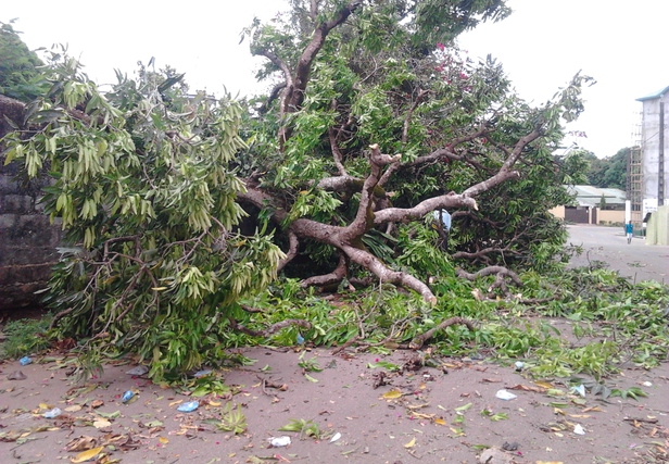 Article : Dieu en col&egrave;re contre le &ldquo;dernier Samedi&rdquo; ?